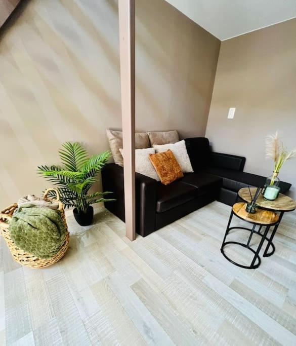 Apartment Tropical *